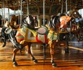 Horses on a traditional fairground carousel Royalty Free Stock Photo