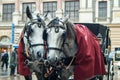 Horses and traditional Fiaker carriage in Vienna, Austria Royalty Free Stock Photo
