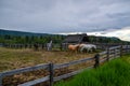 Horses Trotting on a Ranch