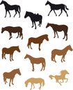 Horses