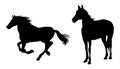 Horses vector illustration isolated on white background. Royalty Free Stock Photo