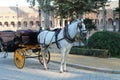 Horses with vintage carriages