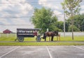 Horses With Wagon in Amish Country