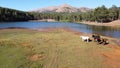 horses walking along the shore by the mountain lake while another horse stands on a hillside Royalty Free Stock Photo