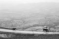 Horses walking on a mountain road, above a big valley Royalty Free Stock Photo