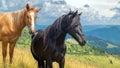 Horses on walking in the mountains on a meadow in warm summer day. Natural background Royalty Free Stock Photo