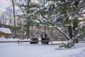 Horses walking in the snow Royalty Free Stock Photo