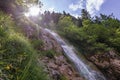 Horses Waterfall in Romania Royalty Free Stock Photo