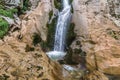 Horses Waterfall in Romania Royalty Free Stock Photo