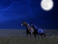 Horses in a Wheat Field at Full Moon Royalty Free Stock Photo