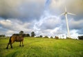 Horses with wind turbine Royalty Free Stock Photo