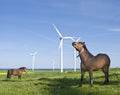 Horses and wind turbines Royalty Free Stock Photo