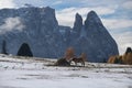 Horses at Seiser Alm, South Tyrol, Italy