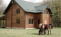 Horses on wooden house background A small, European-style wooden house or a wooden log cabin Old wooden house. Old wood in the cou Royalty Free Stock Photo