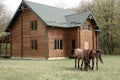 Horses on wooden house background A small, European-style wooden house or a wooden log cabin Old wooden house. Old wood in the cou Royalty Free Stock Photo