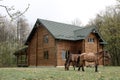 Horses on wooden house background A small, European-style wooden house or a wooden log cabin Old wooden house. Old wood in the cou Royalty Free Stock Photo