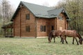 Horses on wooden house background A small, European-style wooden house or a wooden log cabin Old wooden house. Old wood in the cou Royalty Free Stock Photo