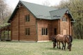 Horses on wooden house background A small, European-style wooden house or a wooden log cabin Old wooden house. Old wood in the cou Royalty Free Stock Photo