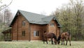 Horses on wooden house background A small, European-style wooden house or a wooden log cabin Old wooden house. Old wood in the cou Royalty Free Stock Photo