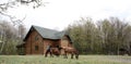 Horses on wooden house background A small, European-style wooden house or a wooden log cabin Old wooden house. Old wood in the cou Royalty Free Stock Photo