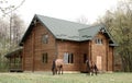 Horses on wooden house background A small, European-style wooden house or a wooden log cabin Old wooden house. Old wood in the cou Royalty Free Stock Photo