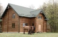 Horses on wooden house background A small, European-style wooden house or a wooden log cabin Old wooden house. Old wood in the cou Royalty Free Stock Photo