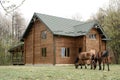 Horses on wooden house background A small, European-style wooden house or a wooden log cabin Old wooden house. Old wood in the cou Royalty Free Stock Photo