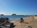 Horseshoe Beach, Newcastle Australia