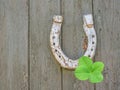 Horseshoe with cloverleaf background image Royalty Free Stock Photo