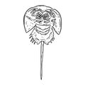 Horseshoe crab lineart doodle design for coloring book. Cartoon sketchbook image logo. Media graphic symbol