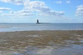 horseshoe crab shells and lighthouse and water at beach Royalty Free Stock Photo