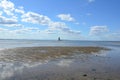 horseshoe crab shells and lighthouse and water at beach Royalty Free Stock Photo