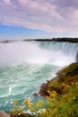 Horseshoe Falls Royalty Free Stock Photo