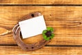 Horseshoe with green shamrock sign for luck for st patricks day Royalty Free Stock Photo