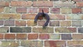 Horseshoe hanging on a brick wall