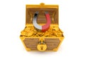 Horseshoe inside treasure chest