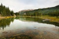 The horseshoe lake along the the horseshoe lake trail at Denali National Park, Alaska, USA Royalty Free Stock Photo