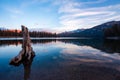 Horseshoe lake in Mammoth mountains area Royalty Free Stock Photo