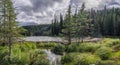 Horseshoe Lake Trail in Denali Park