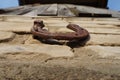 horseshoe nailed to an old bricks wall