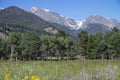 Horseshoe Park in Rocky Mountain National Park mountain meadow and snowy peaks in Colorado Royalty Free Stock Photo