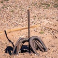 Horseshoe Pit with Horseshoes Leaning on the Stake Royalty Free Stock Photo