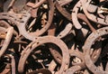 Horseshoes Royalty Free Stock Photo