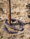 Horseshoes double ringer Royalty Free Stock Photo