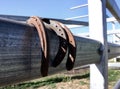 Horseshoes hanging on fence