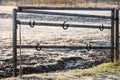 Horseshoes hanging on a metal pasture gate on a sunny winter morning. Symbol of good luck, lucky charm in equestrian sports