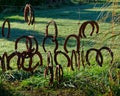 Horseshoes hanging upside down on a wire fence, New Zealand