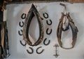 Horseshoes and harnesses hanging on a farmhouse wall Royalty Free Stock Photo