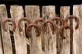 Horseshoes on an old wooden fence