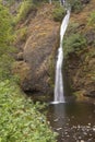 Horsetail Falls Columbia River Gorge Oregon. Royalty Free Stock Photo
